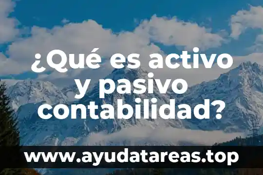 Que es un cliente activo pasivo 4 ¿Qué es activo y pasivo contabilidad?