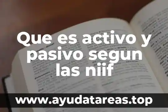 Que es activo y pasivo segun las niif