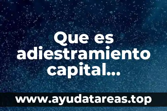 Que es adiestramiento capital humano