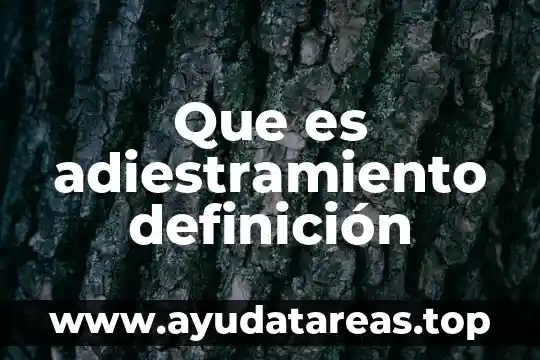 Que es adiestramiento definición