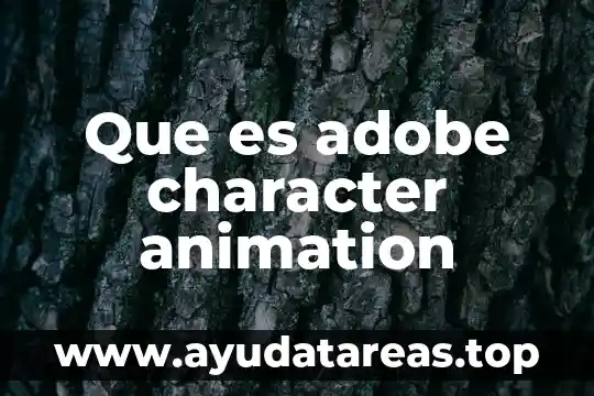 Que es el modo de color adobe rgb 4 Que es adobe character animation