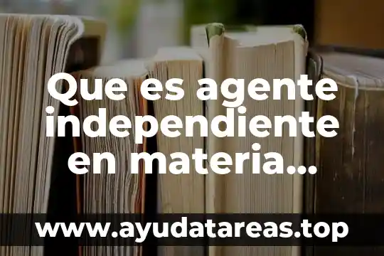 Que es agente independiente en materia fiscal