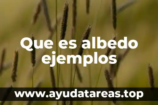 Que es albedo ejemplos