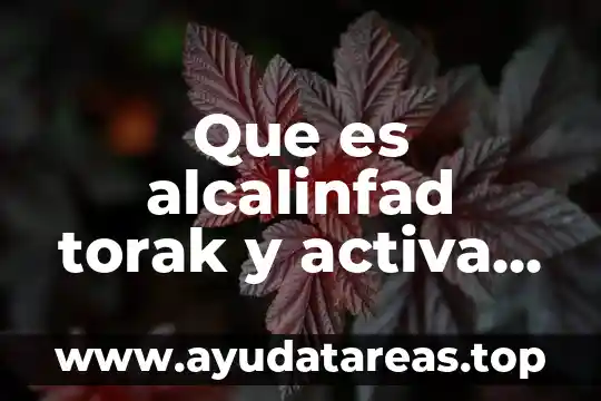 Que es la falta de abastecimiento de agua 5 Que es alcalinfad torak y activa en checado de agua