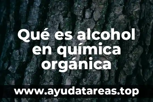 Qué es la ilustración filosofía 5 Qué es alcohol en química orgánica