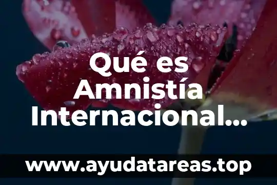 Ac2 ac3 que es en comercio internacional 7 Qué es Amnistía Internacional Amnistía Internacional