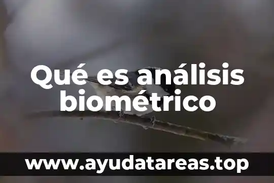 Qué es análisis biométrico