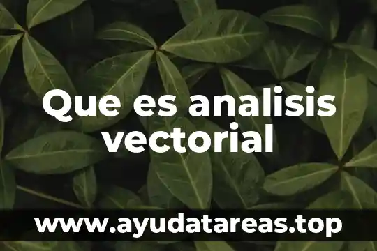 Que es el analisis de representación algebraico 6 Que es analisis vectorial
