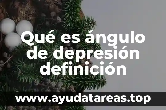 Qué es el juicio especial hipotecario en México definición 7 Qué es ángulo de depresión definición