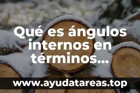 Qué es ángulos internos en términos matemáticos