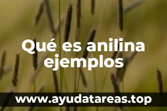 Qué es anilina ejemplos