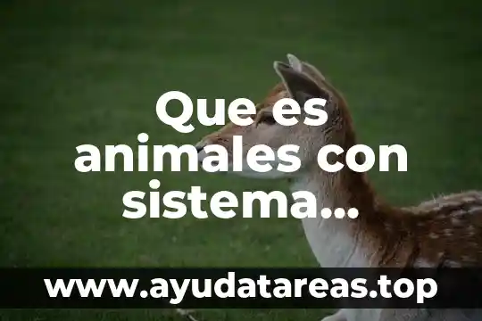 Que es animales con sistema digestivo completo