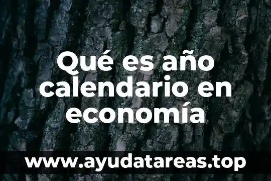 Qué es teoría año empírica David Hume 4 Qué es año calendario en economía