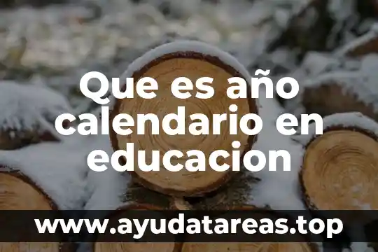 Que es año calendario en educacion