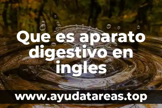 Que es aparato digestivo en ingles