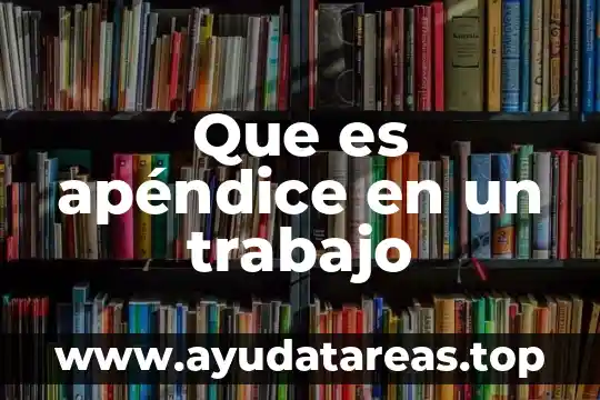 Que es apéndice en un trabajo