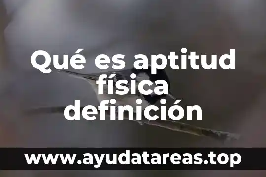 Qué es aptitud física definición