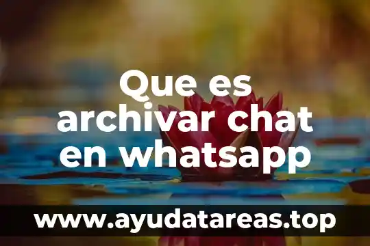 Que es archivar chat en whatsapp