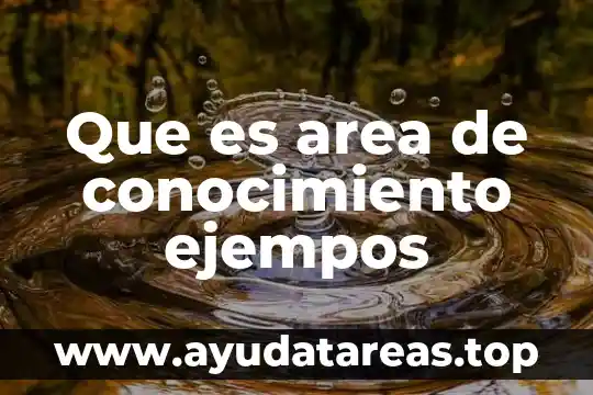 Que es area de conocimiento ejempos
