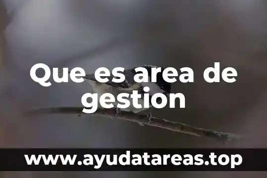 Que es area de gestion