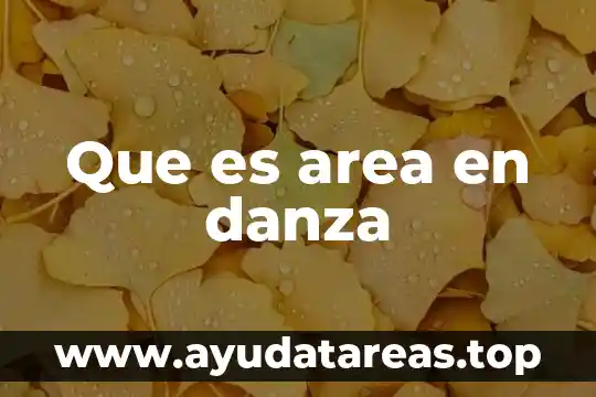 Que es area en danza