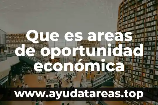 Que es areas de oportunidad económica