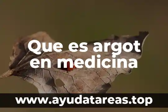 Que es preludio en medicina 7 Que es argot en medicina