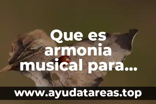 Que es armonia musical para niños