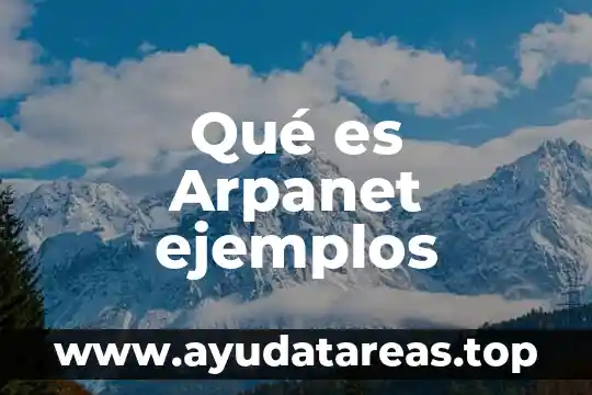 Que es vldl en un analisis de sangre 6 Qué es Arpanet ejemplos