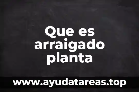 Que es una planta libre en la arquitectura 4 Que es arraigado planta
