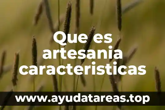 Que es un dominio de internet tipos y caracteristicas 7 Que es artesania caracteristicas