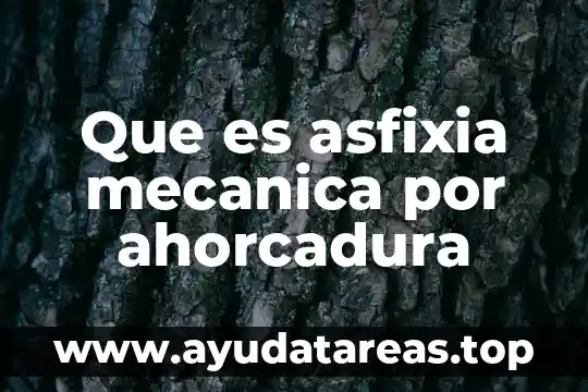 Qué es legalidad definición 6 Que es asfixia mecanica por ahorcadura