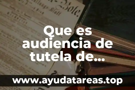 Que es audiencia de tutela de derechos