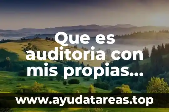 Que es escepticismo propias palabras 3 Que es auditoria con mis propias palabras