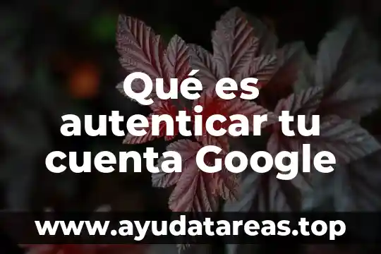 Qué es autenticar tu cuenta Google
