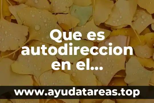 Que es la autogestion del aprendizaje en los docentes 8 Que es autodireccion en el aprendizaje