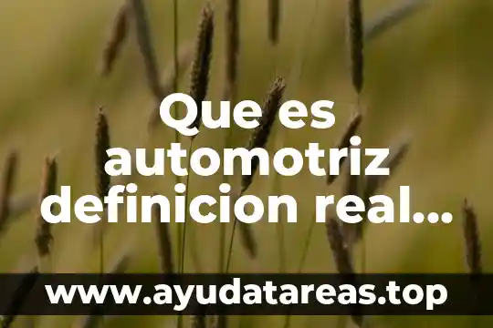 Que es automotriz definicion real descriptiva