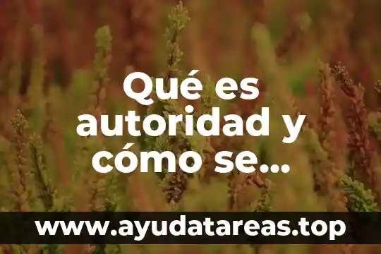 Qué es autoridad y cómo se clasifica