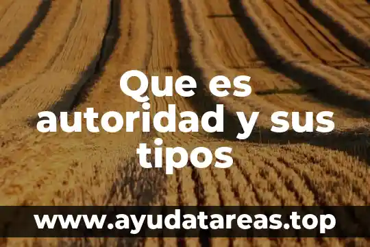 Defina que es autoridad 8 Que es autoridad y sus tipos