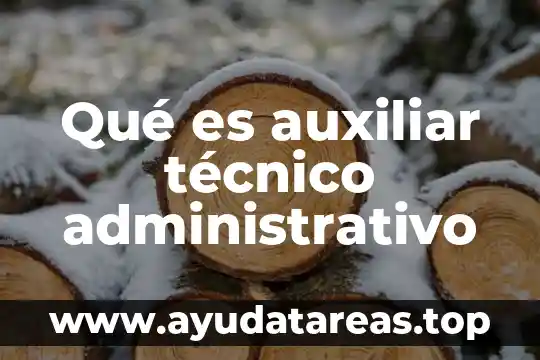Qué es auxiliar técnico administrativo