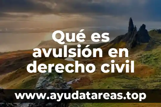 Justicia civil que es 6 Qué es avulsión en derecho civil