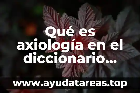 Qué es axiología en el diccionario jurídica