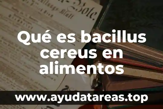 Que es variacion de alimentos 4 Qu茅 es bacillus cereus en alimentos