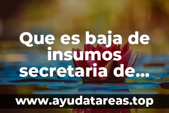 Qué es la secretaria de salud en jalisco 6 Que es baja de insumos secretaria de salud sinaloa