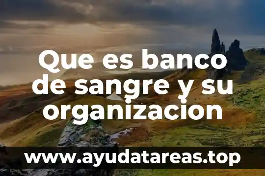 Para que salgan negativo en la sangre que es bueno 8 Que es banco de sangre y su organizacion