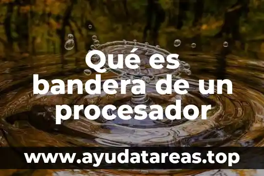 Qué es un procesador de texto y características tiene 8 Qué es bandera de un procesador