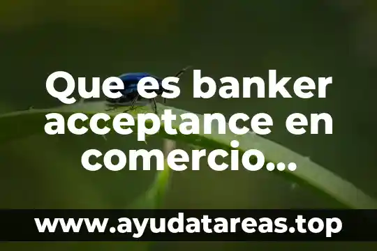 Que es el id de comercio de paypal 8 Que es banker acceptance en comercio exterior