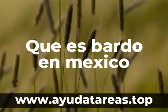 Que es bardo en mexico