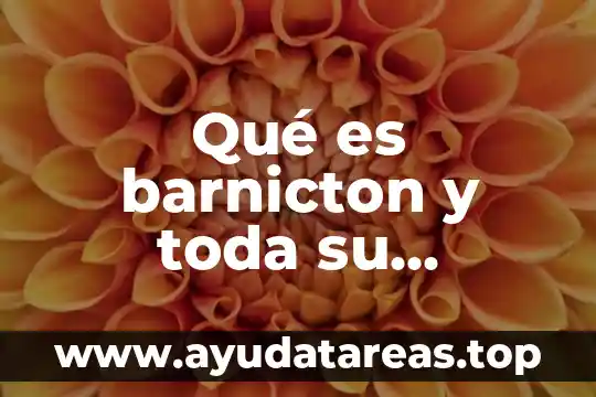 Qué es barnicton y toda su historia