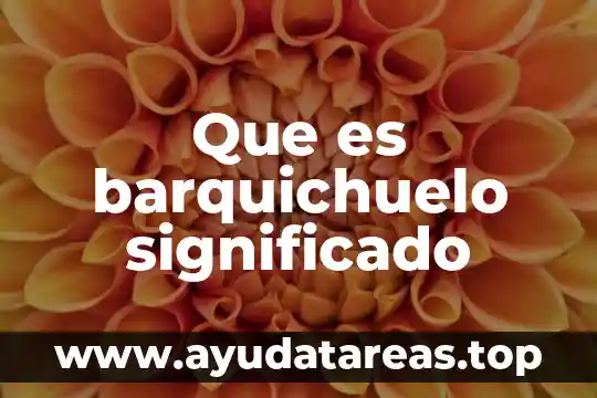 Que es un significado implcito 3 Que es barquichuelo significado